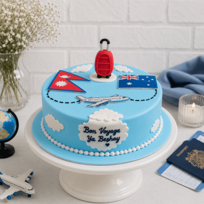 Bon Voyage Cake